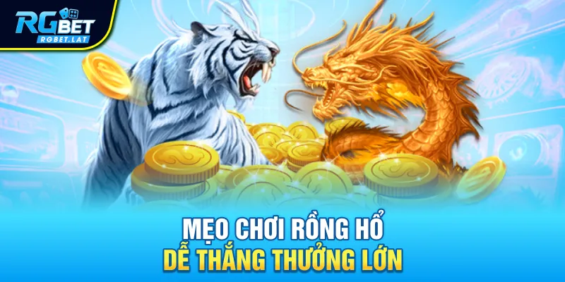 Mẹo chơi rồng hổ dễ thắng thưởng lớn