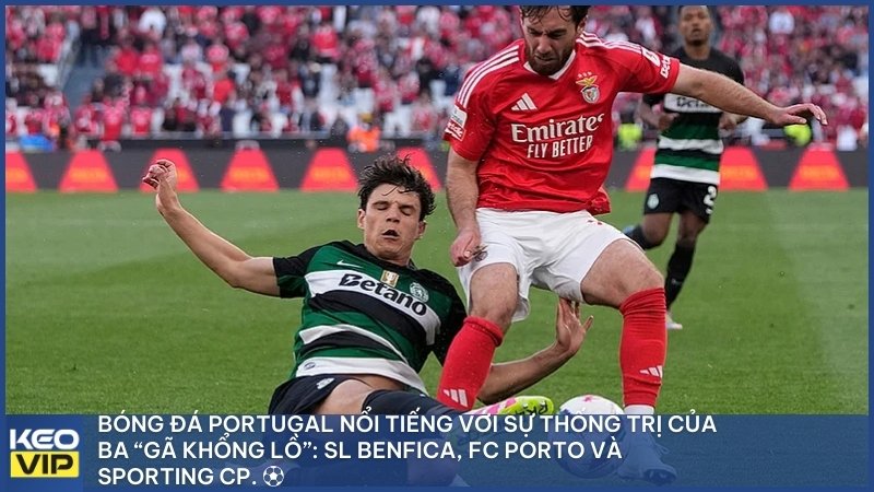Bóng đá Portugal nổi tiếng với sự thống trị của ba “gã khổng lồ”: SL Benfica, FC Porto và Sporting CP
